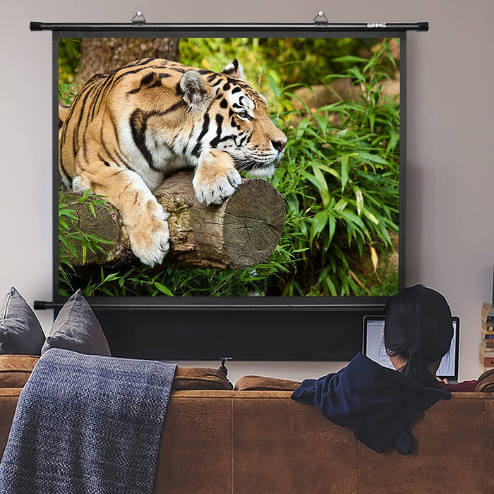 Duronic BPS60 4:3 Ekran projekcyjny tło projektora | sala konferencyjna | kino domowe | mata projekcyjna