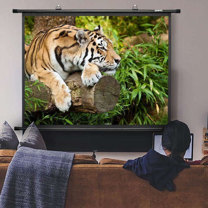 Duronic BPS80 4:3 Ekran projekcyjny tło projektora | sala konferencyjna | kino domowe | mata projekcyjna