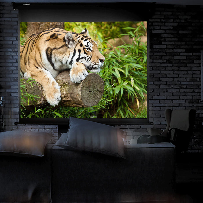 Duronic MPS80 4:3 Ekran do projektora regulowany   | sala konferencyjna | kino domowe | mata projekcyjna